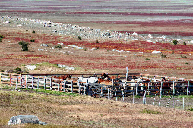 Pferderanch Farmstay